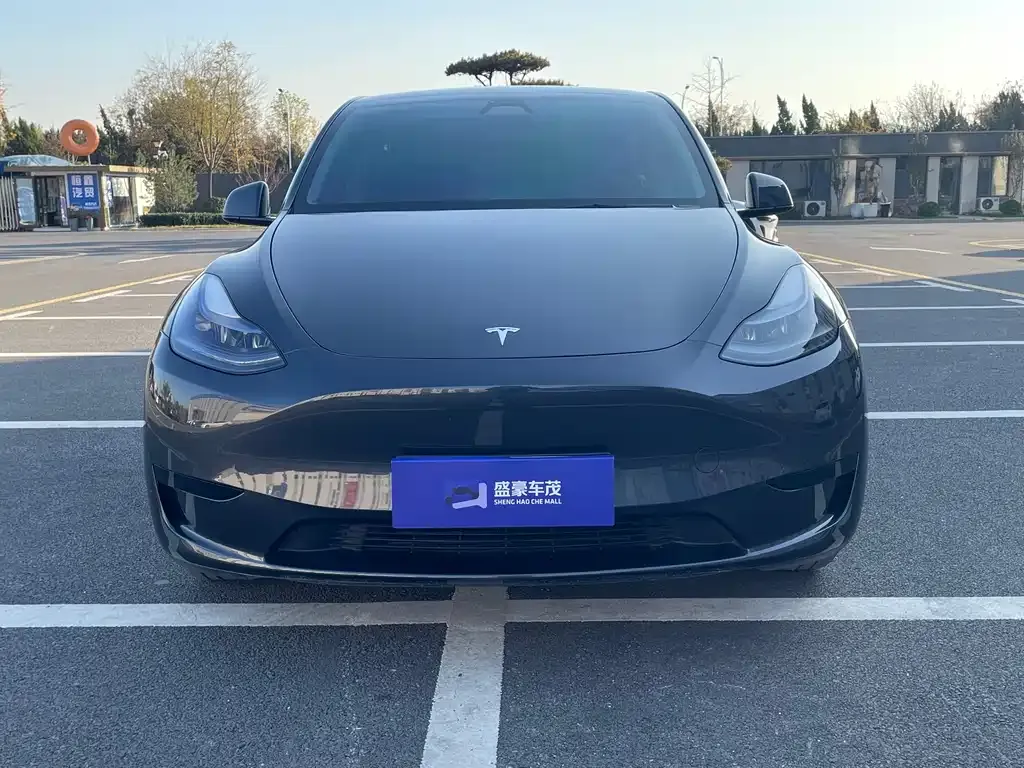Tesla Model Y 2024 из CN, фото 2