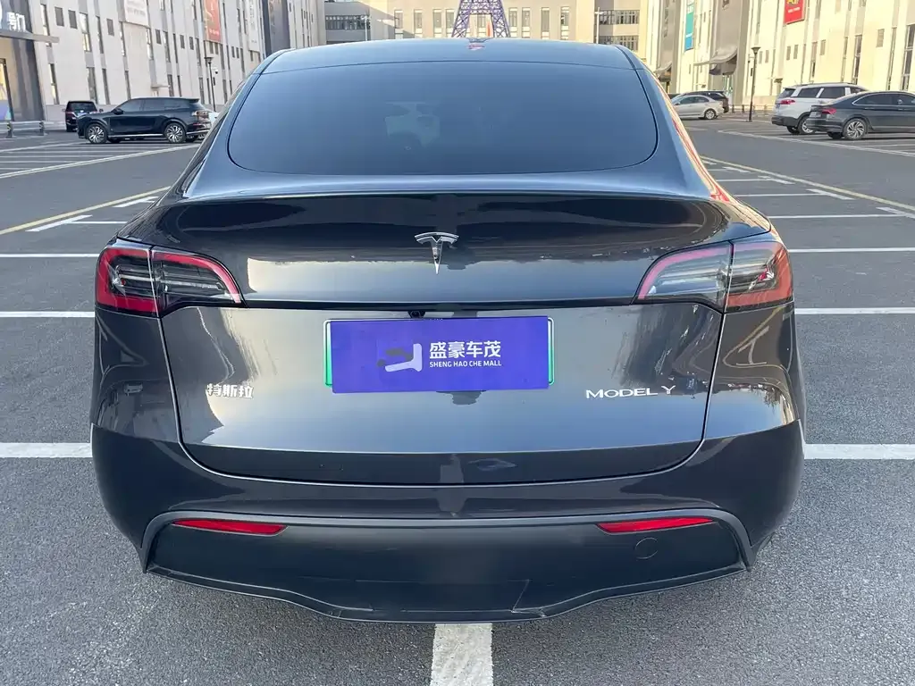 Tesla Model Y 2024 из CN, фото 8