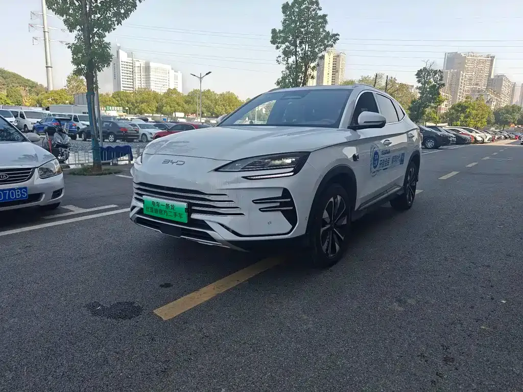 BYD PLUS New Energy 2025 из CN, фото 1
