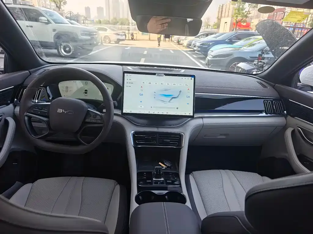 BYD PLUS New Energy 2025 из CN, фото 9