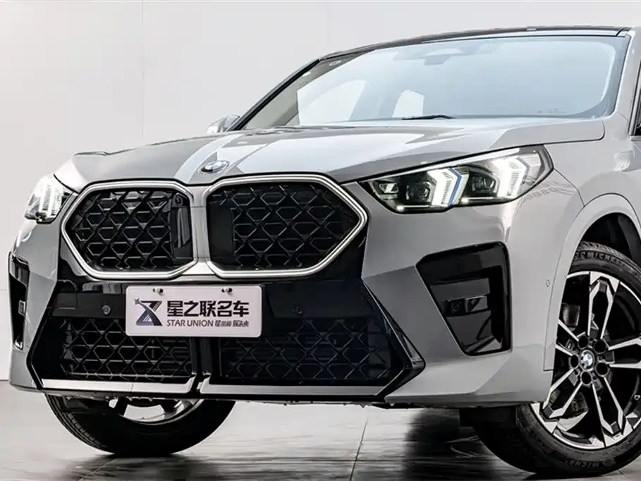 BMW X2 (Import) 2024 из CN, фото 3