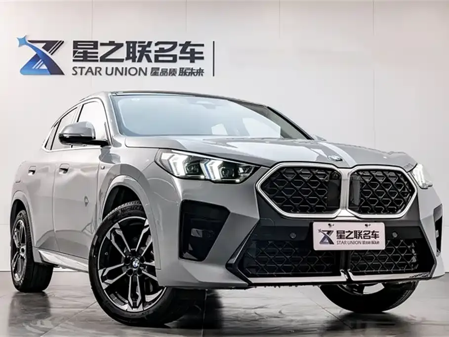 BMW X2 (Import) 2024 из CN, фото 5