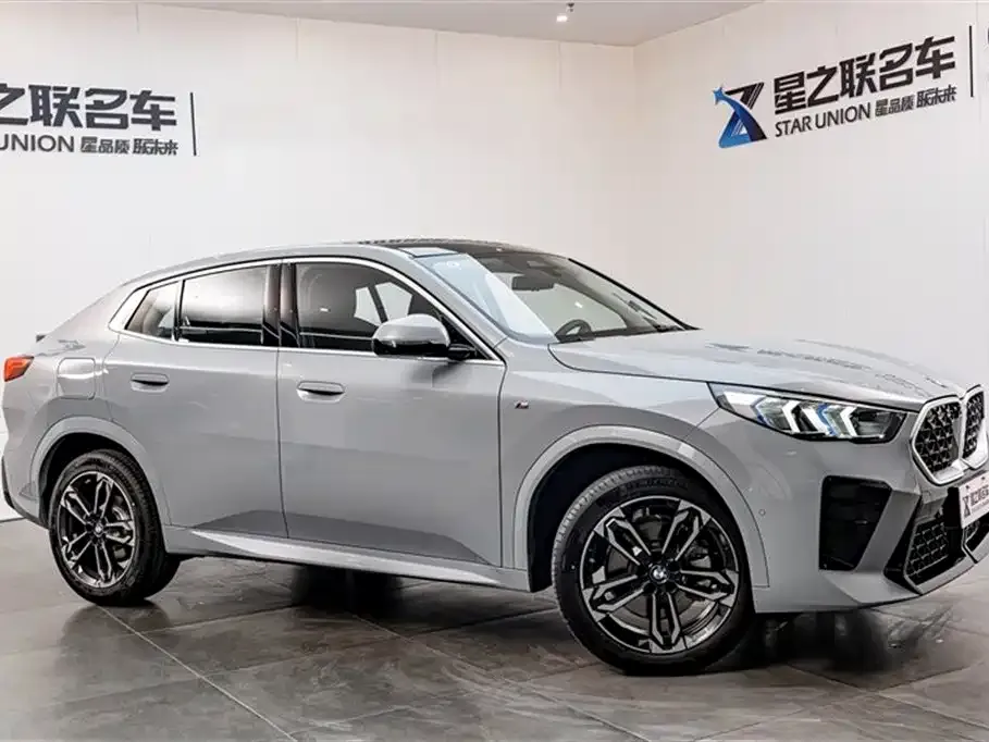 BMW X2 (Import) 2024 из CN, фото 6