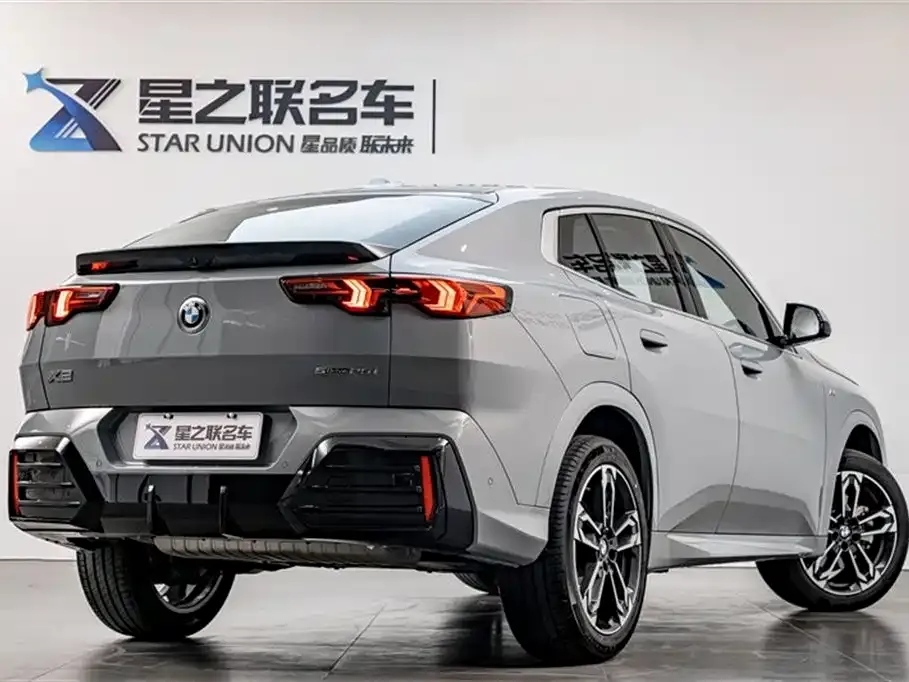 BMW X2 (Import) 2024 из CN, фото 7