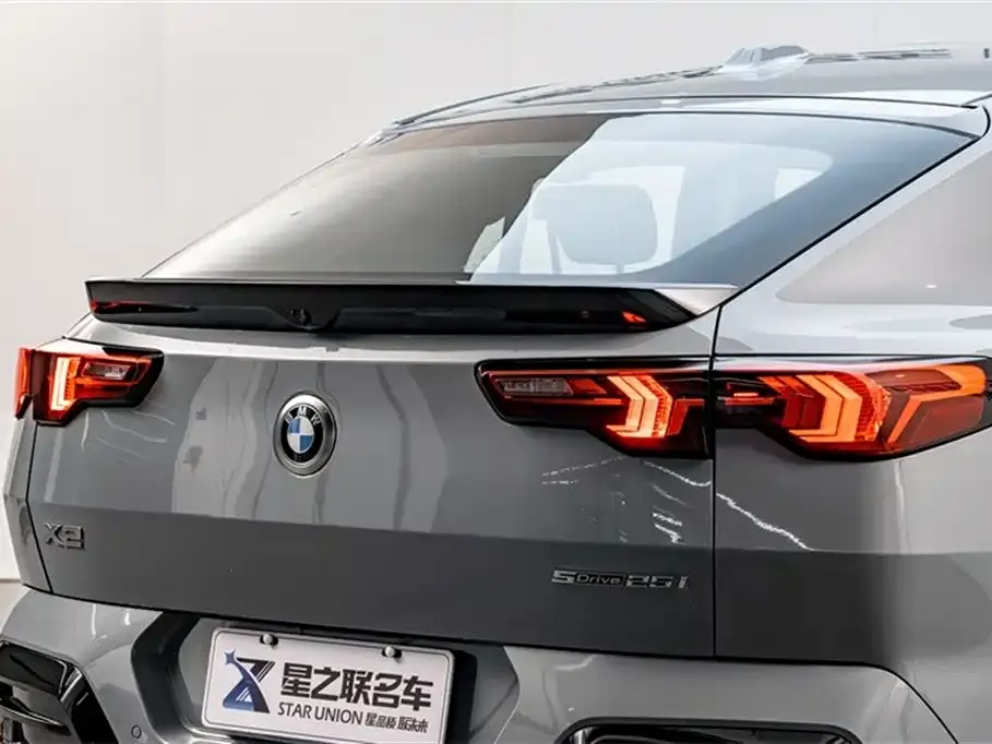 BMW X2 (Import) 2024 из CN, фото 9