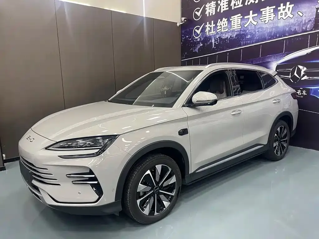 BYD PLUS New Energy 2025 из CN, фото 1