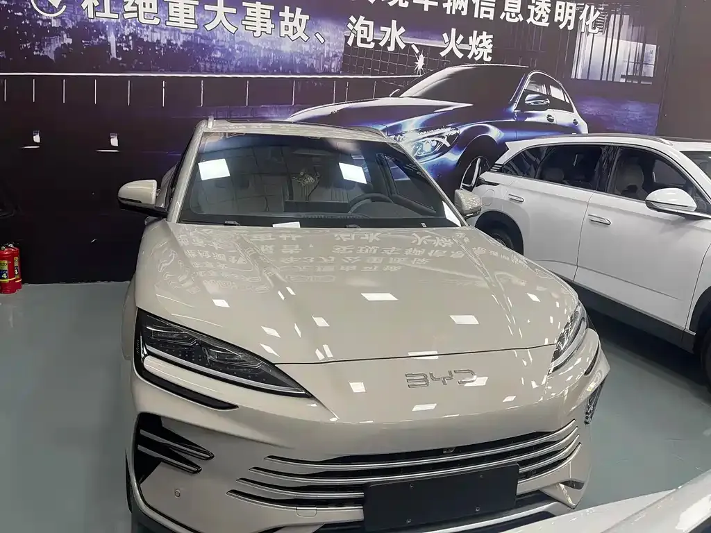BYD PLUS New Energy 2025 из CN, фото 2