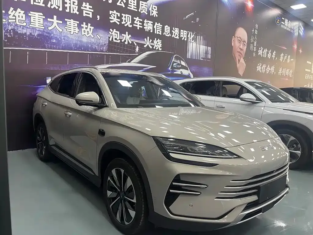 BYD PLUS New Energy 2025 из CN, фото 3