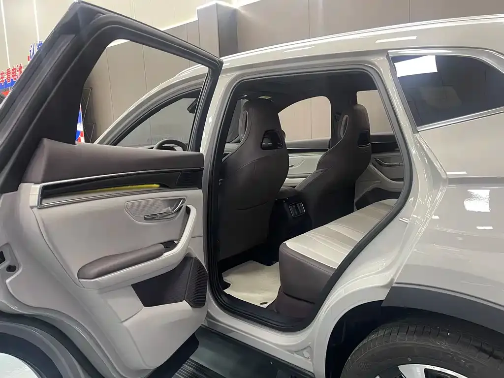 BYD PLUS New Energy 2025 из CN, фото 5