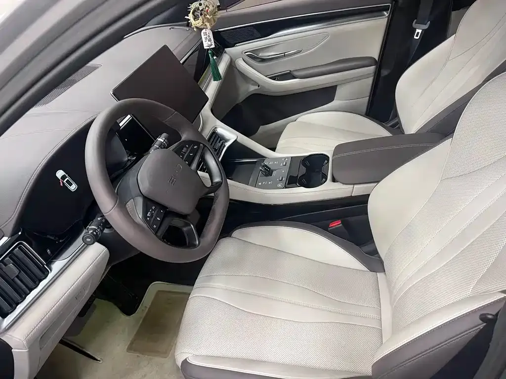 BYD PLUS New Energy 2025 из CN, фото 6