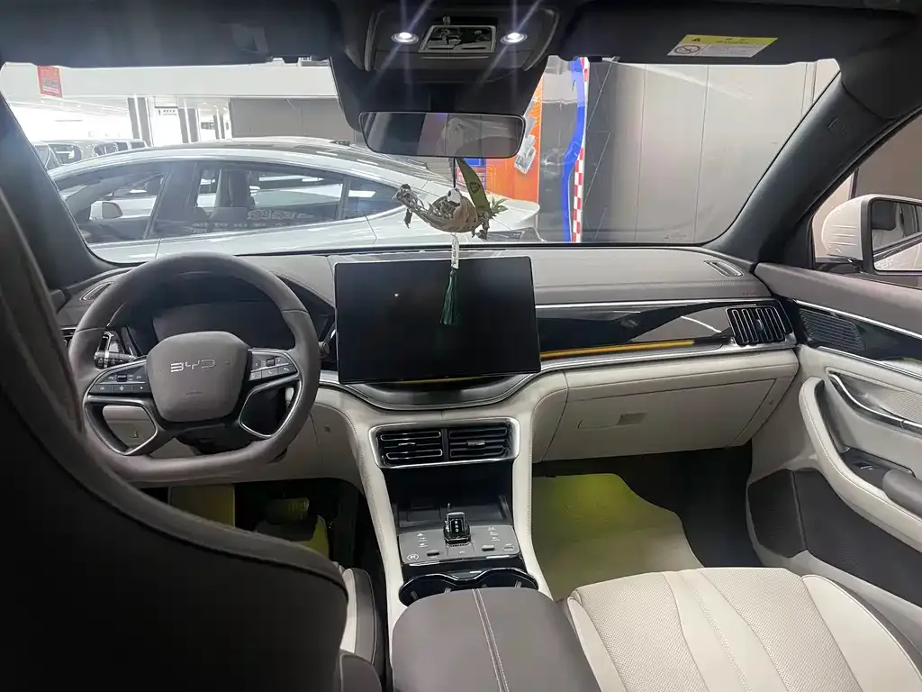 BYD PLUS New Energy 2025 из CN, фото 7