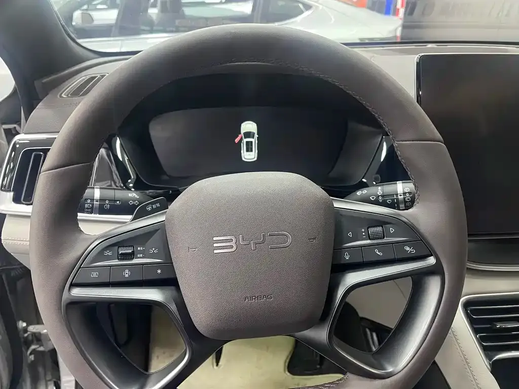 BYD PLUS New Energy 2025 из CN, фото 8