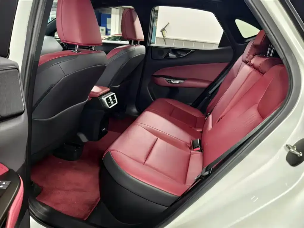 Lexus NX 2023 из CN, фото 10