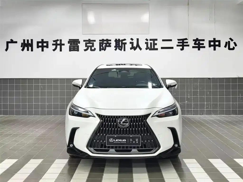 Lexus NX 2023 из CN, фото 2
