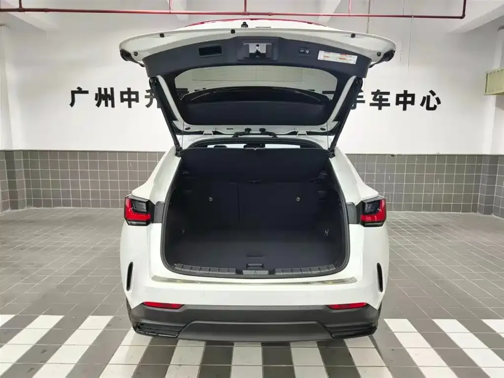 Lexus NX 2023 из CN, фото 4