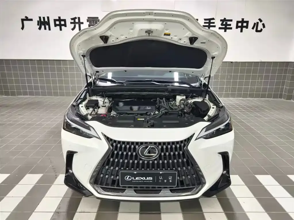 Lexus NX 2023 из CN, фото 5