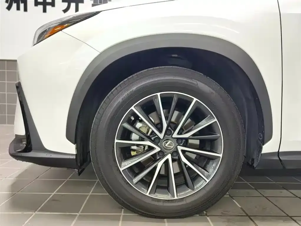 Lexus NX 2023 из CN, фото 7