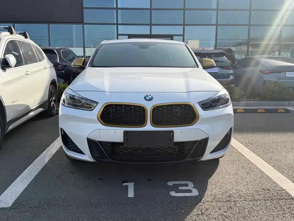 BMW X2 2023 из CN, фото 3