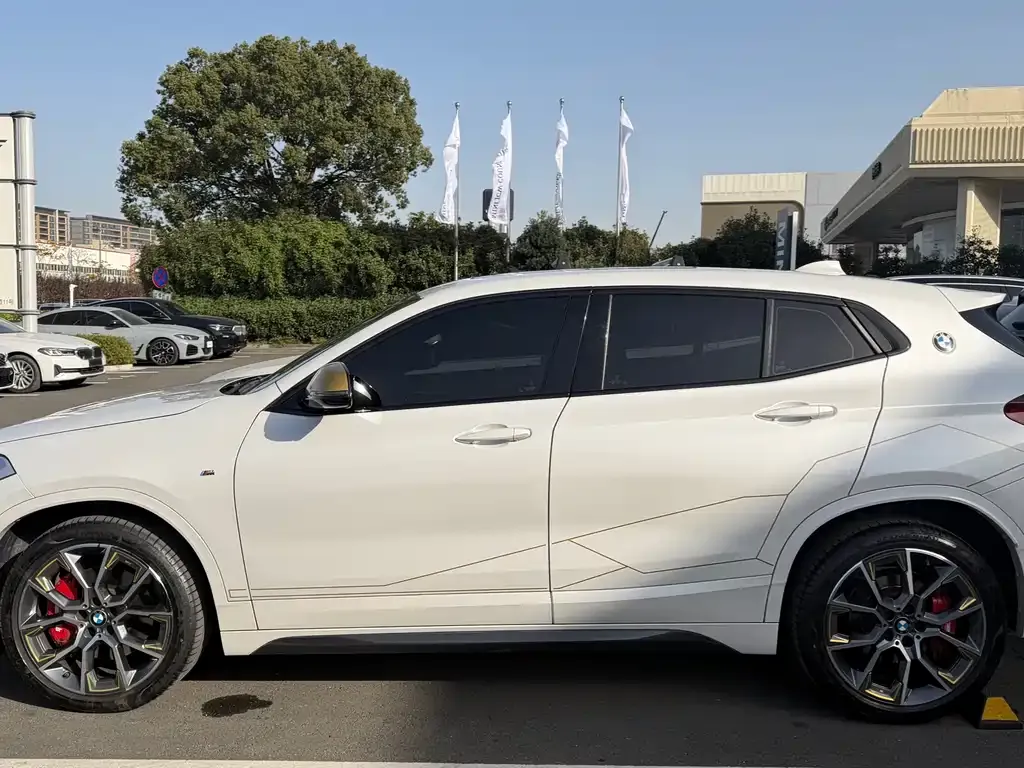 BMW X2 2023 из CN, фото 9