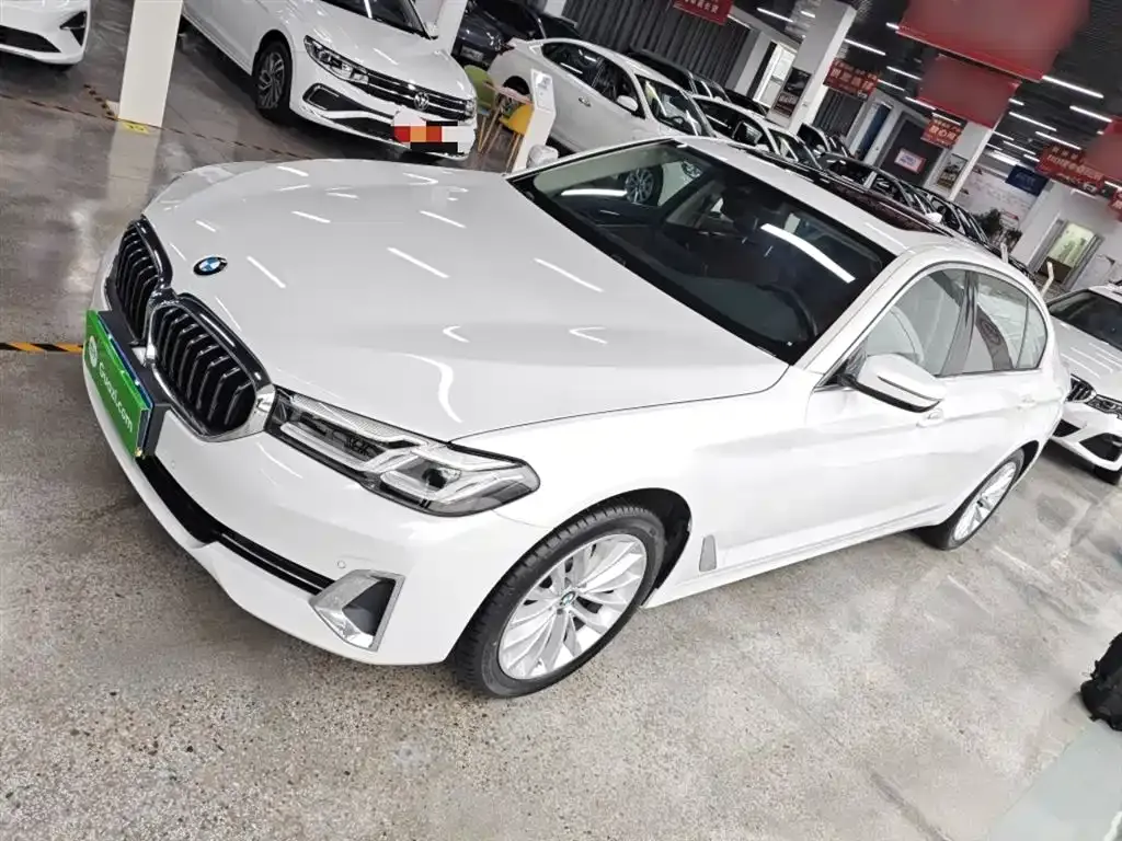 BMW 5 Series 2024 из CN, фото 5