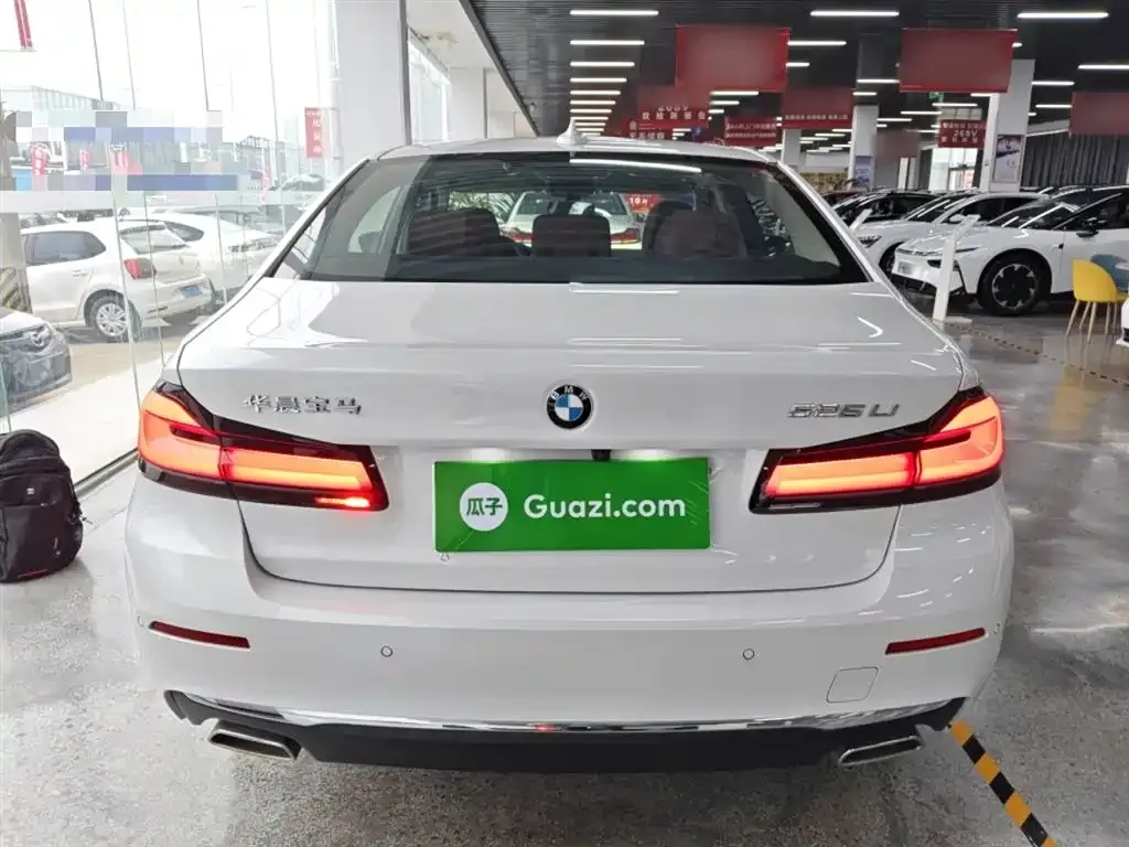 BMW 5 Series 2024 из CN, фото 6