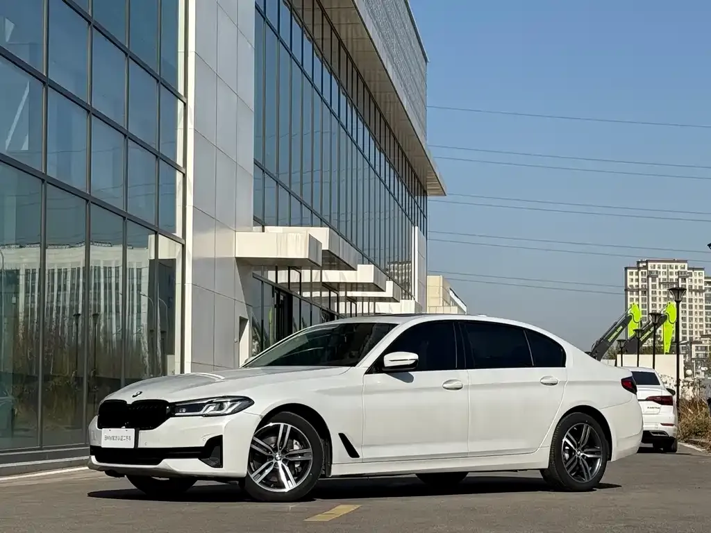 BMW 5 Series 2021 из CN, фото 1