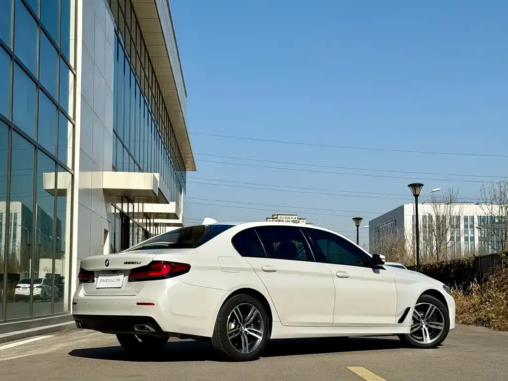 BMW 5 Series 2021 из CN, фото 10