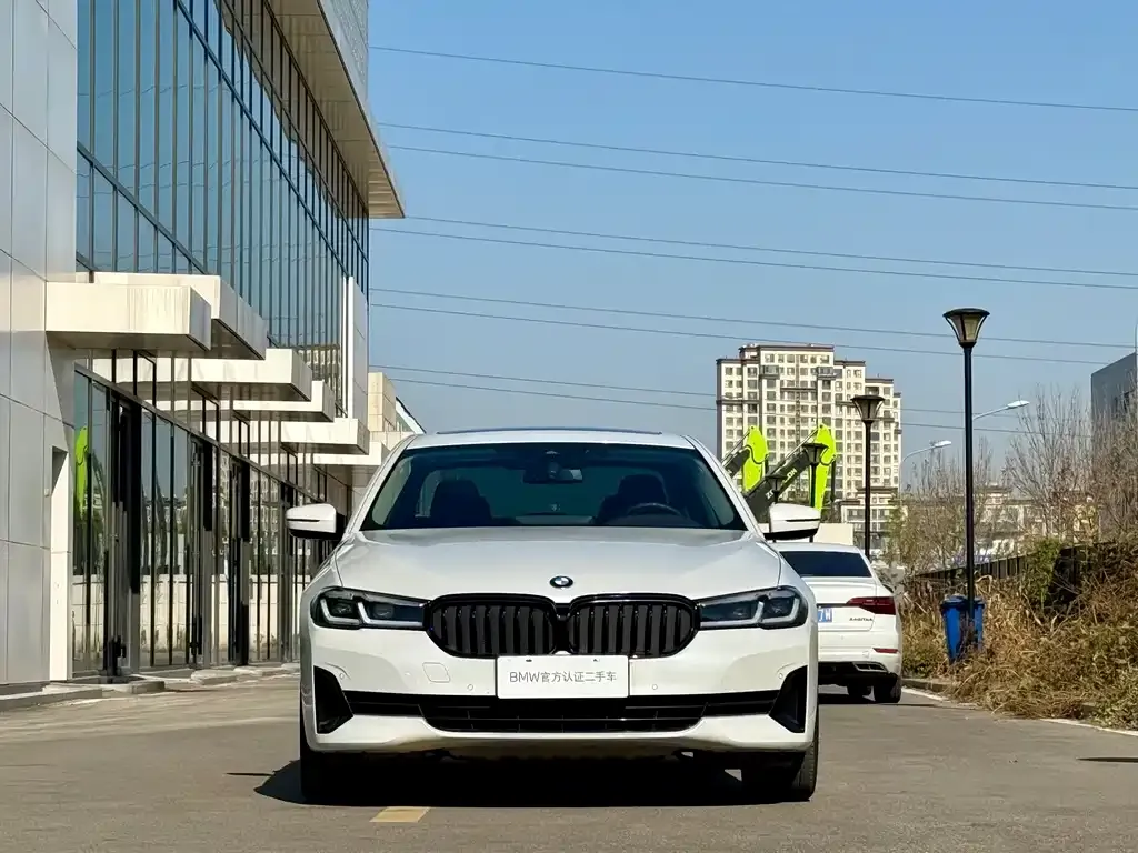 BMW 5 Series 2021 из CN, фото 2