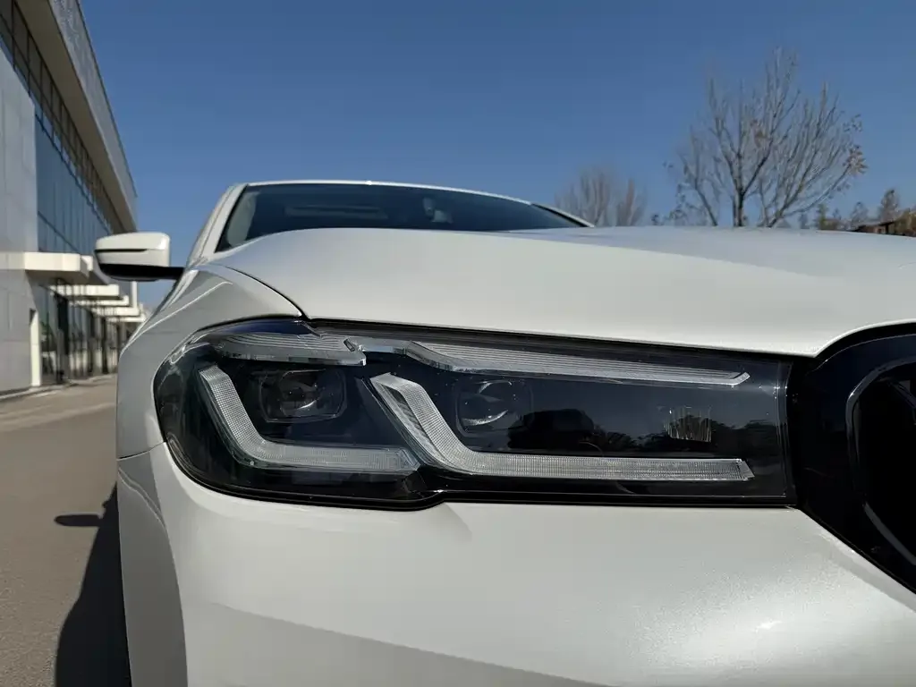 BMW 5 Series 2021 из CN, фото 4