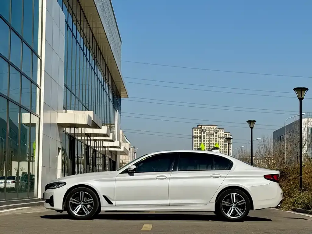 BMW 5 Series 2021 из CN, фото 5