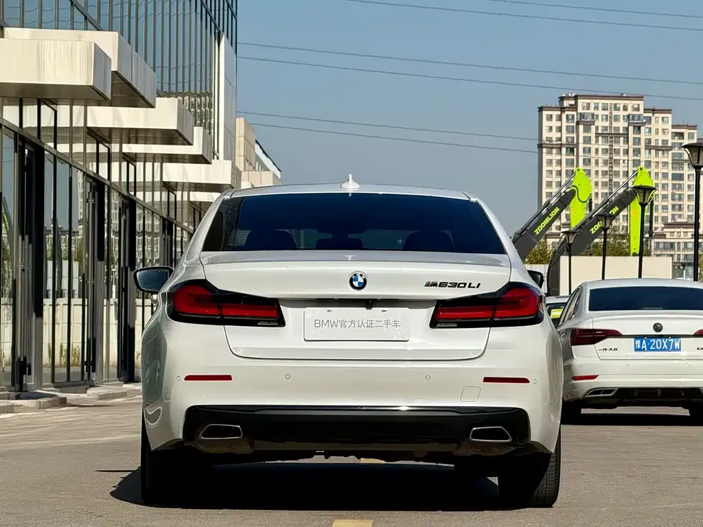 BMW 5 Series 2021 из CN, фото 6