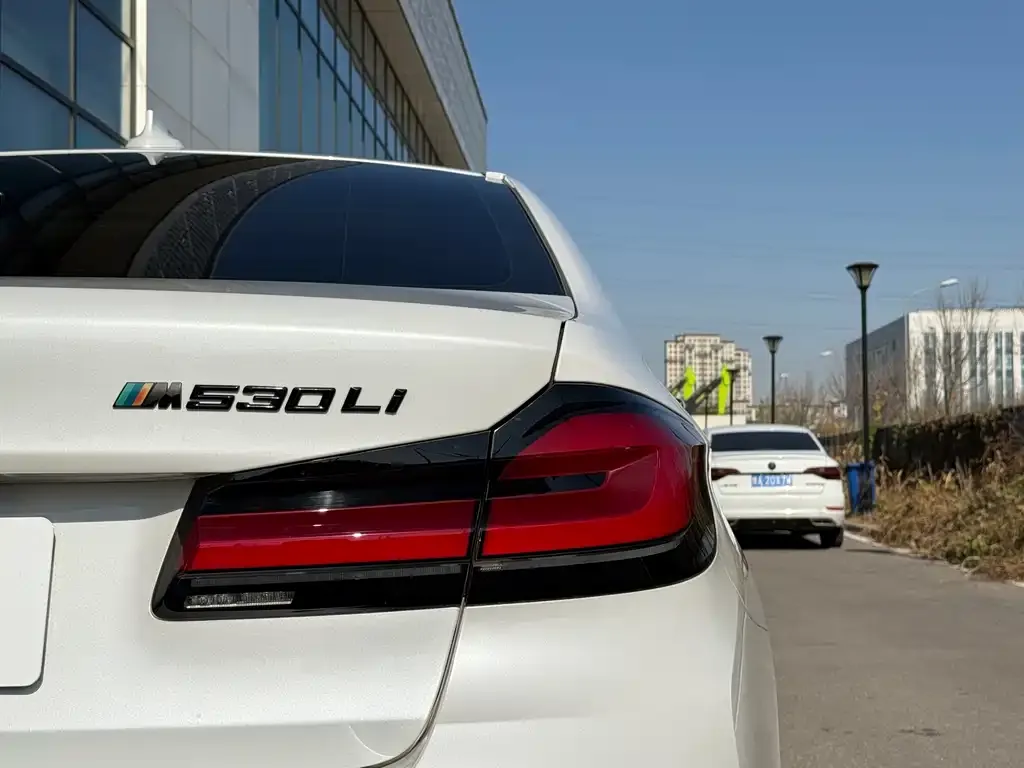 BMW 5 Series 2021 из CN, фото 7