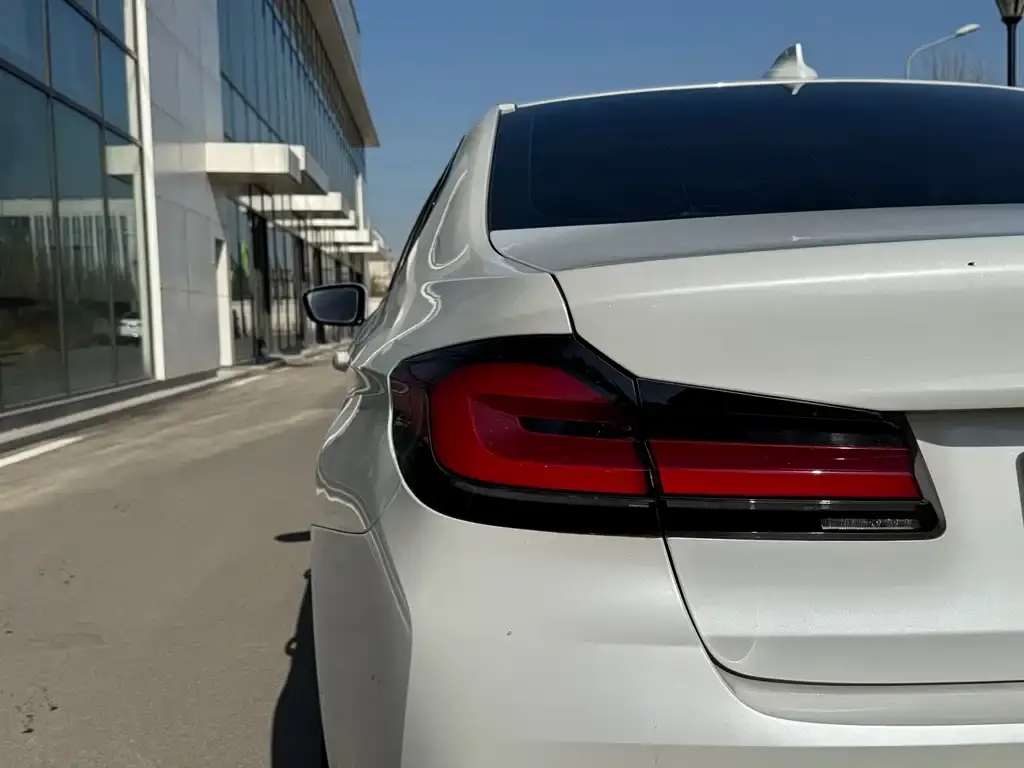 BMW 5 Series 2021 из CN, фото 8