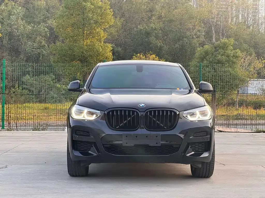 BMW X4 2021 из CN, фото 2