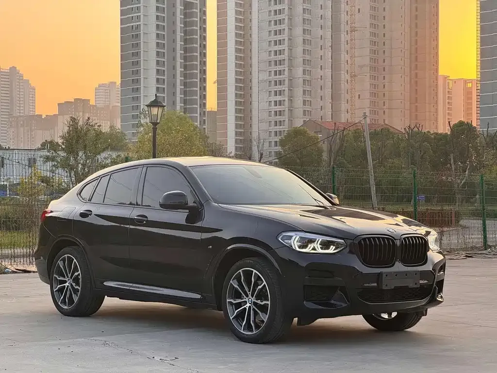 BMW X4 2021 из CN, фото 3