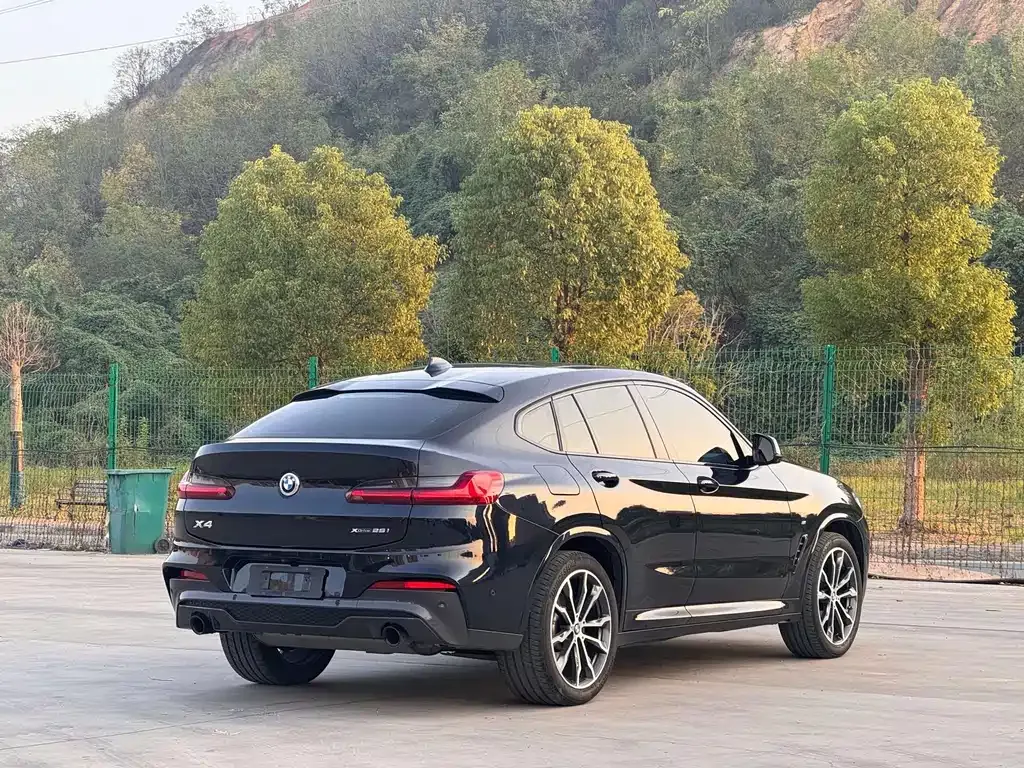 BMW X4 2021 из CN, фото 4