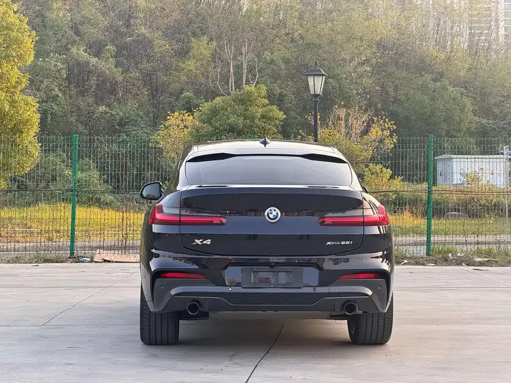 BMW X4 2021 из CN, фото 5