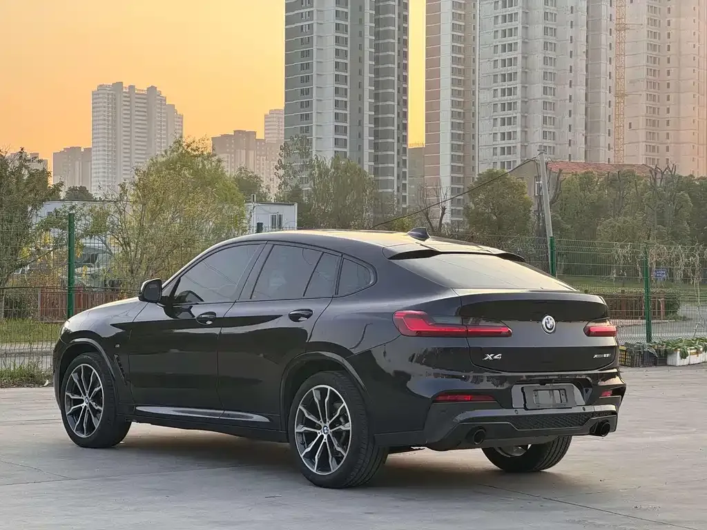 BMW X4 2021 из CN, фото 6