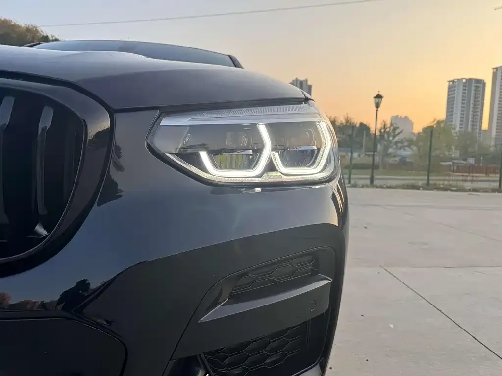 BMW X4 2021 из CN, фото 9