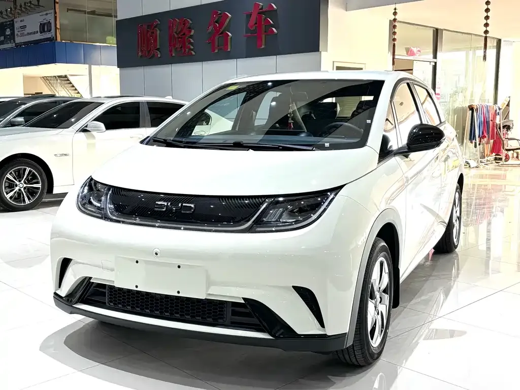 BYD Dolphin 2025 из CN, фото 1
