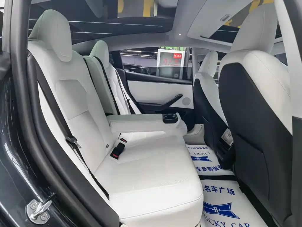 Tesla Model 3 2025 из CN, фото 9