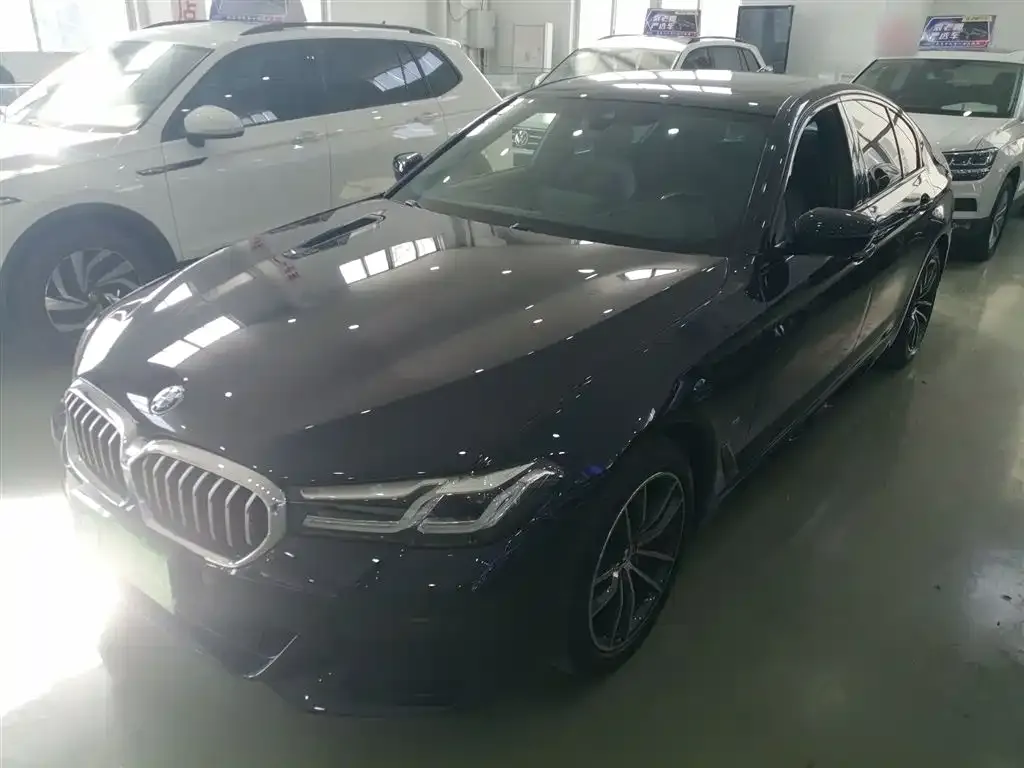 BMW 5 Series (Import) 2022 из CN, фото 1