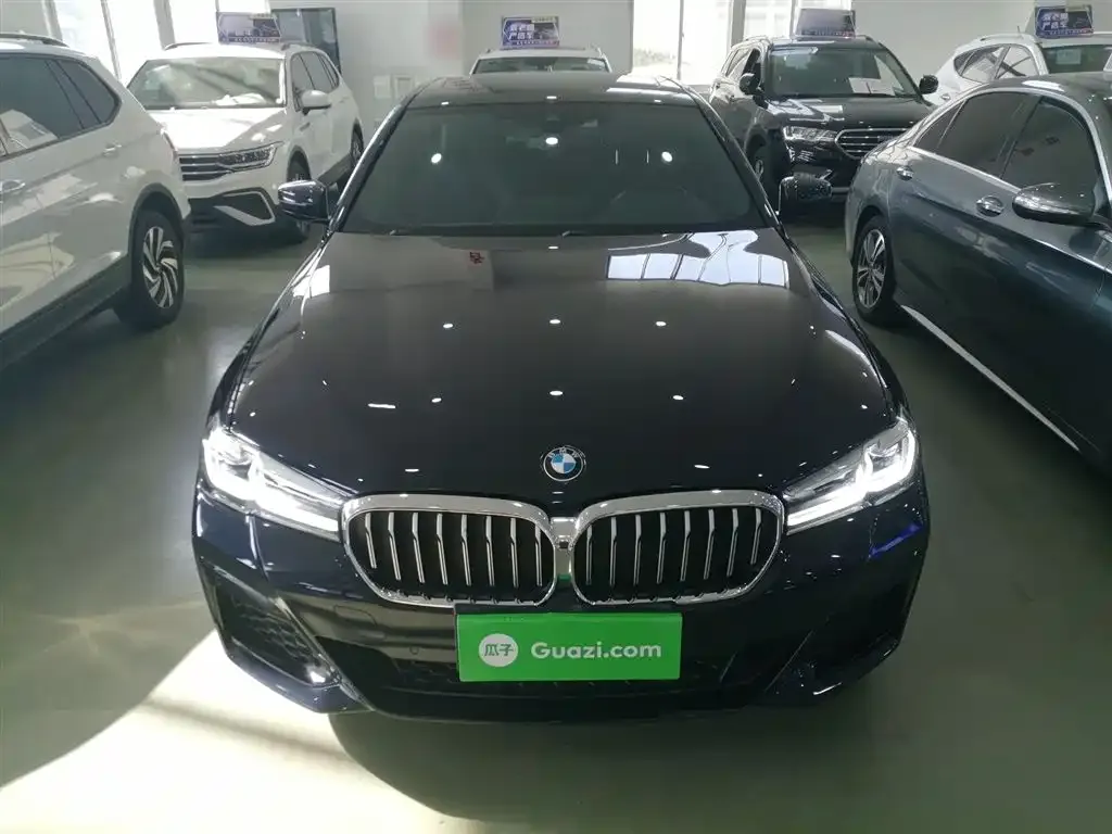 BMW 5 Series (Import) 2022 из CN, фото 3