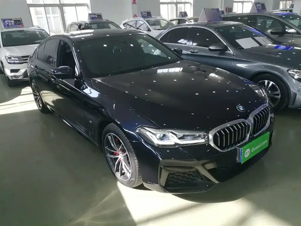 BMW 5 Series (Import) 2022 из CN, фото 4