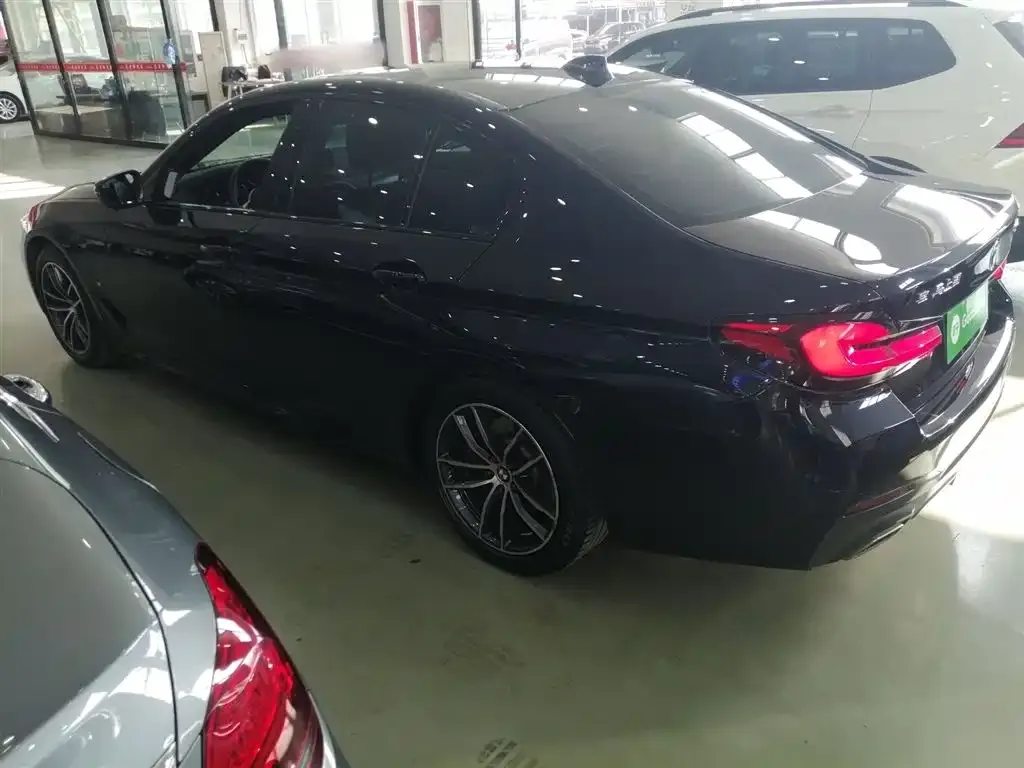 BMW 5 Series (Import) 2022 из CN, фото 5