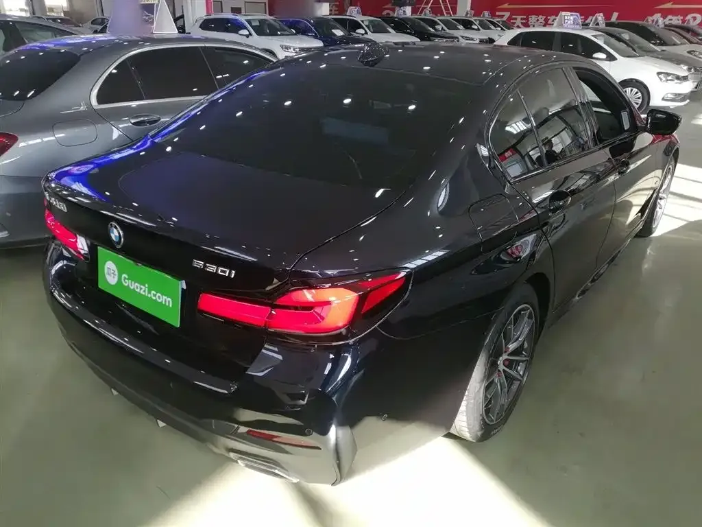 BMW 5 Series (Import) 2022 из CN, фото 7