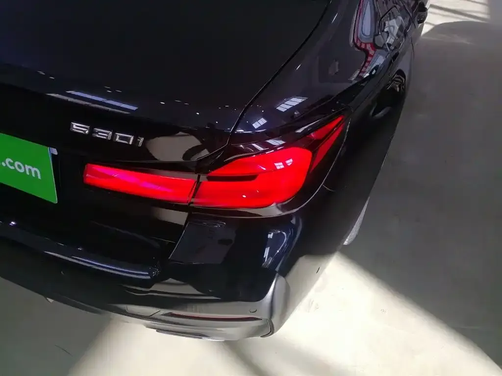 BMW 5 Series (Import) 2022 из CN, фото 8