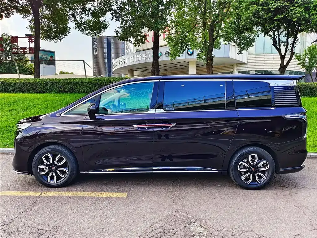Hongqi HQ9 2023 из CN, фото 3