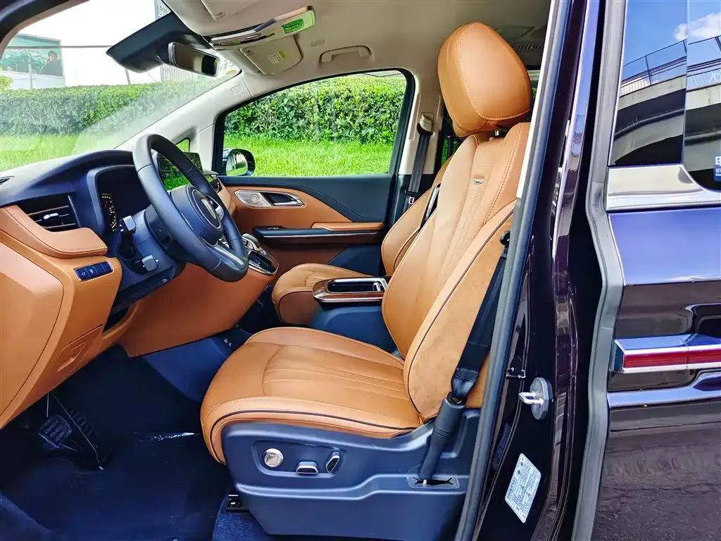 Hongqi HQ9 2023 из CN, фото 7