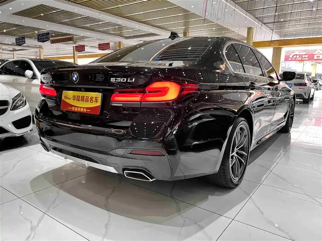 BMW 5 Series 2022 из CN, фото 6